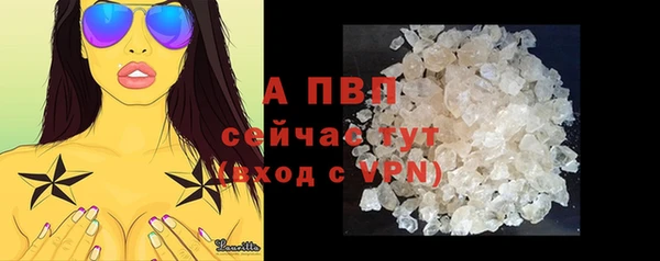 сатива Дмитриев