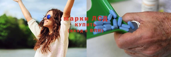 сатива Дмитриев