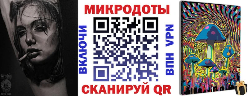 Галлюциногенные грибы Psilocybe  Купить закладки  Камешково 